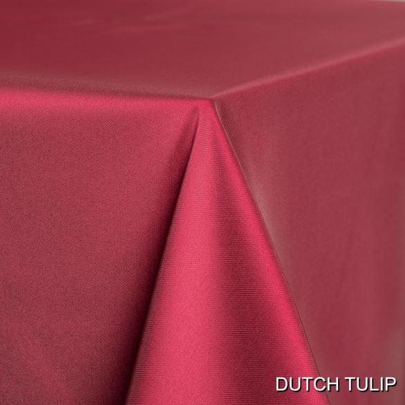 Dutch Tulip